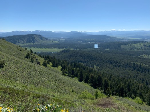 2NCMEtKnTl+rwmkfTVglpA