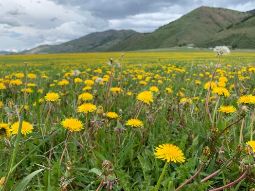 KEx7yhEzRrqoPQg4CVUNYA